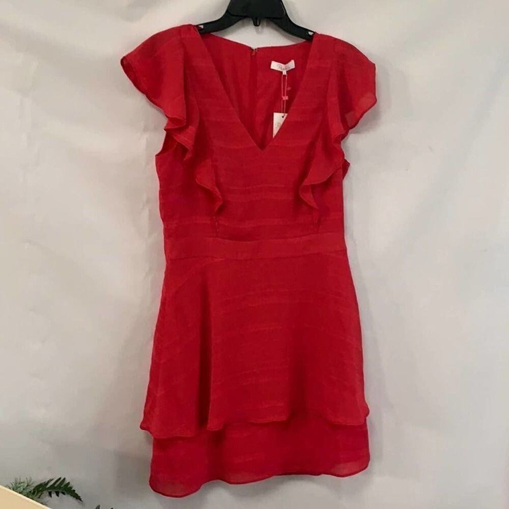 NWT PARKER RUFFLE V NECK HIBISCUS MINI DRESS SZ M